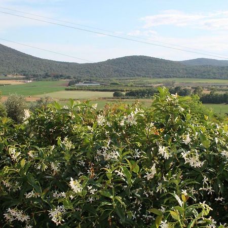 Agriturismo Podere Montenero アルベレーゼ エクステリア 写真