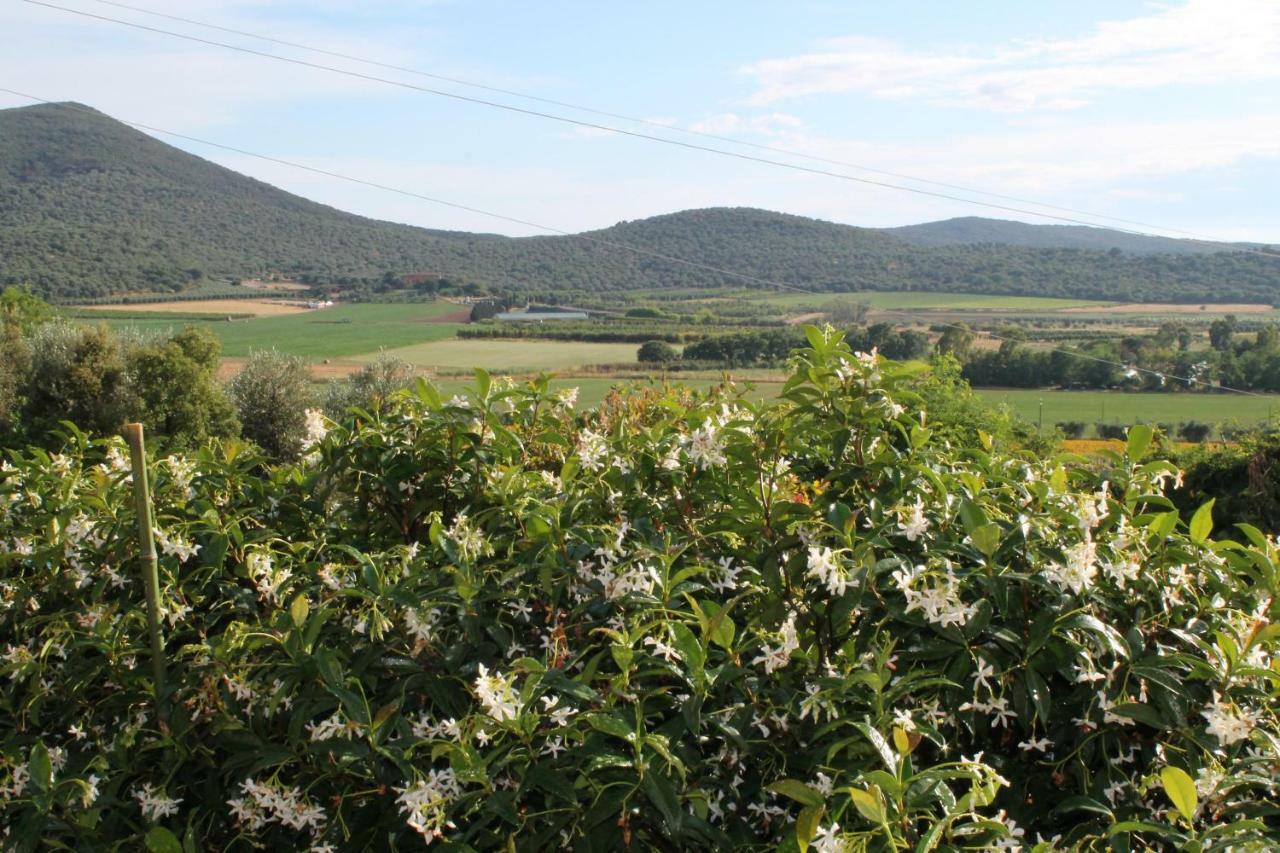Agriturismo Podere Montenero アルベレーゼ エクステリア 写真